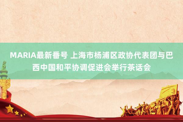 MARIA最新番号 上海市杨浦区政协代表团与巴西中国和平协调促进会举行茶话会