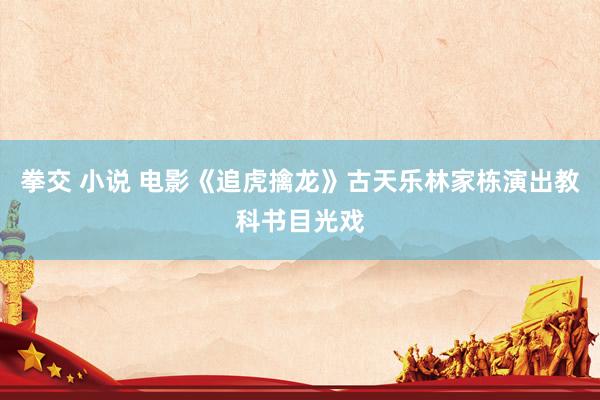 拳交 小说 电影《追虎擒龙》古天乐林家栋演出教科书目光戏