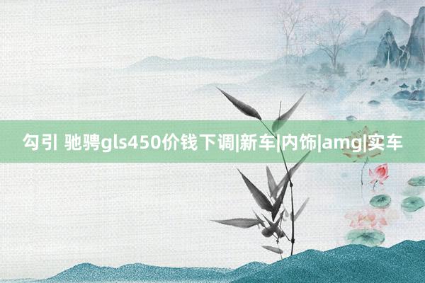 勾引 驰骋gls450价钱下调|新车|内饰|amg|实车