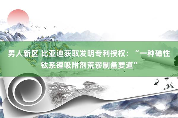 男人新区 比亚迪获取发明专利授权：“一种磁性钛系锂吸附剂荒谬制备要道”