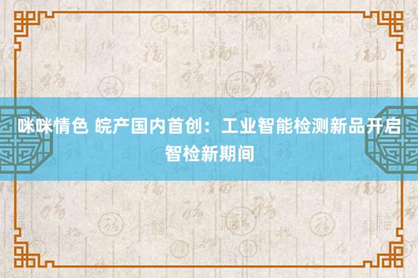 咪咪情色 皖产国内首创：工业智能检测新品开启智检新期间