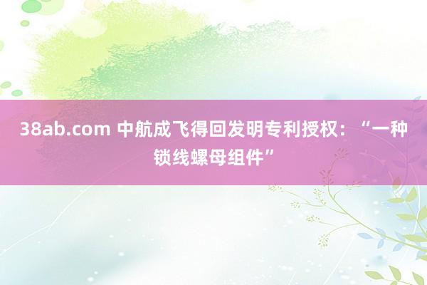 38ab.com 中航成飞得回发明专利授权：“一种锁线螺母组件”
