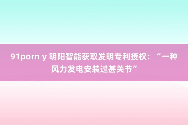 91porn y 明阳智能获取发明专利授权：“一种风力发电安装过甚关节”