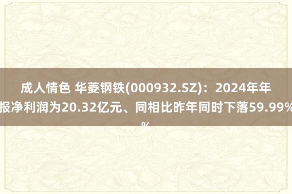 成人情色 华菱钢铁(000932.SZ)：2024年年报净利润为20.32亿元、同相比昨年同时下落59.99%