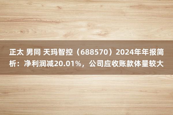 正太 男同 天玛智控（688570）2024年年报简析：净利润减20.01%，公司应收账款体量较大