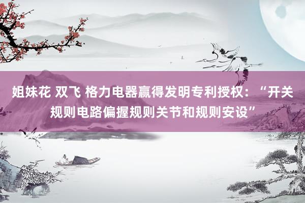 姐妹花 双飞 格力电器赢得发明专利授权：“开关规则电路偏握规则关节和规则安设”