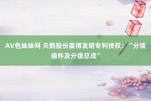 AV色妹妹网 天鹅股份赢得发明专利授权：“分拨组件及分拨总成”