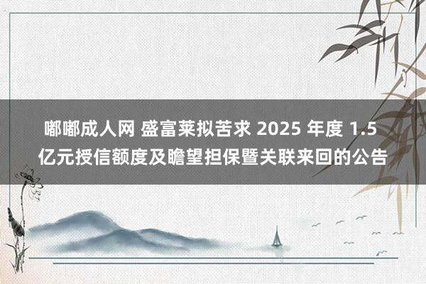 嘟嘟成人网 盛富莱拟苦求 2025 年度 1.5 亿元授信额度及瞻望担保暨关联来回的公告