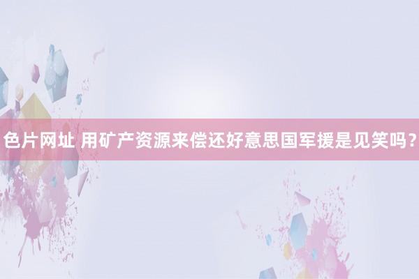 色片网址 用矿产资源来偿还好意思国军援是见笑吗？