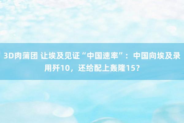 3D肉蒲团 让埃及见证“中国速率”：中国向埃及录用歼10，还给配上轰隆15？