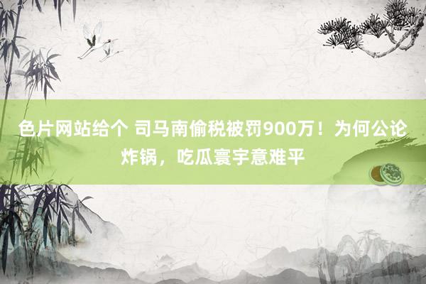 色片网站给个 司马南偷税被罚900万！为何公论炸锅，吃瓜寰宇意难平
