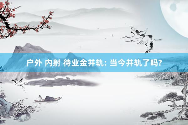 户外 内射 待业金并轨: 当今并轨了吗?