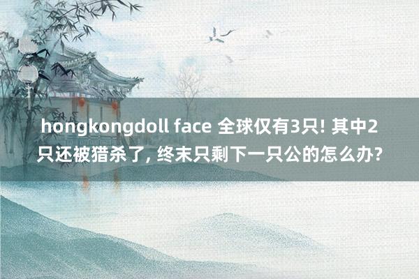 hongkongdoll face 全球仅有3只! 其中2只还被猎杀了, 终末只剩下一只公的怎么办?