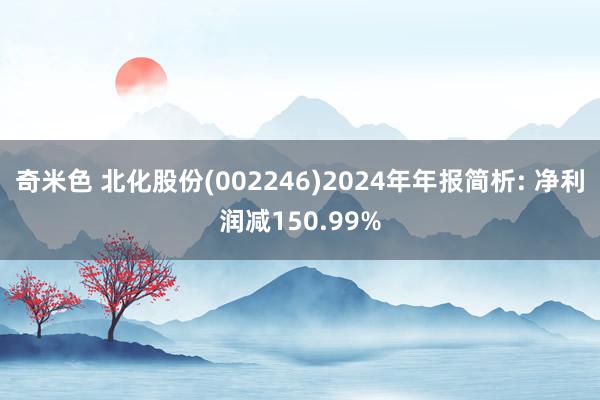 奇米色 北化股份(002246)2024年年报简析: 净利润减150.99%