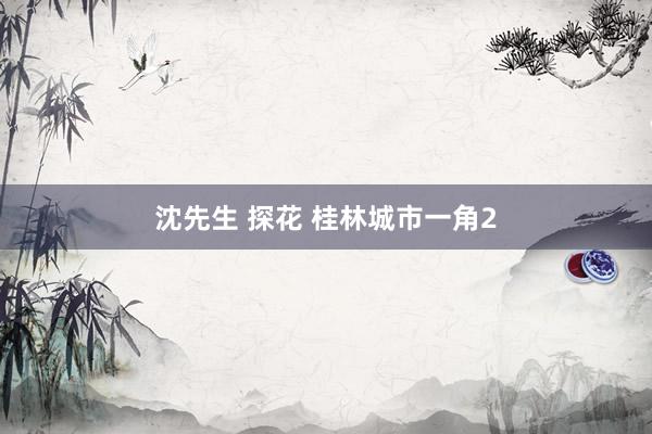 沈先生 探花 桂林城市一角2