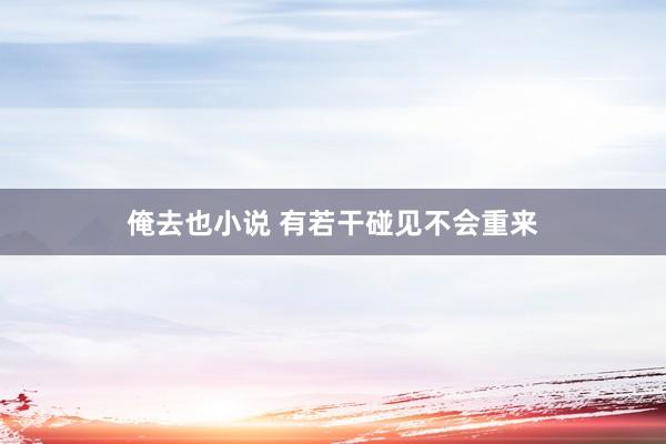 俺去也小说 有若干碰见不会重来