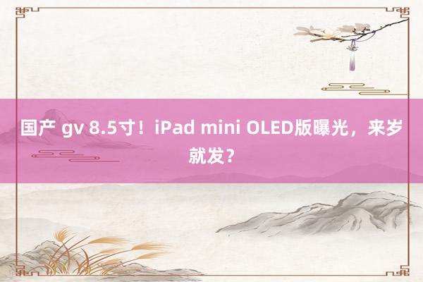 国产 gv 8.5寸！iPad mini OLED版曝光，来岁就发？